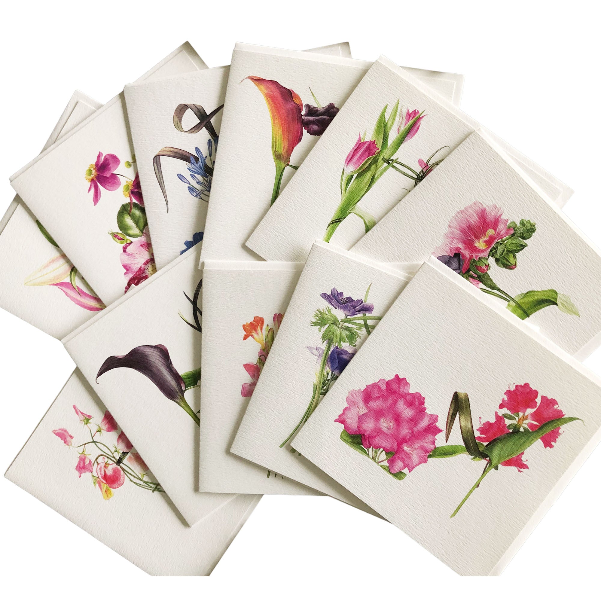 Billy's Botanical Shoe Cards Bumper Pack