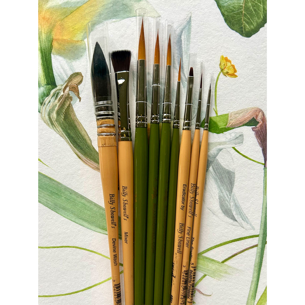 Billy's full set of brushes and tool brushes **New - this set now