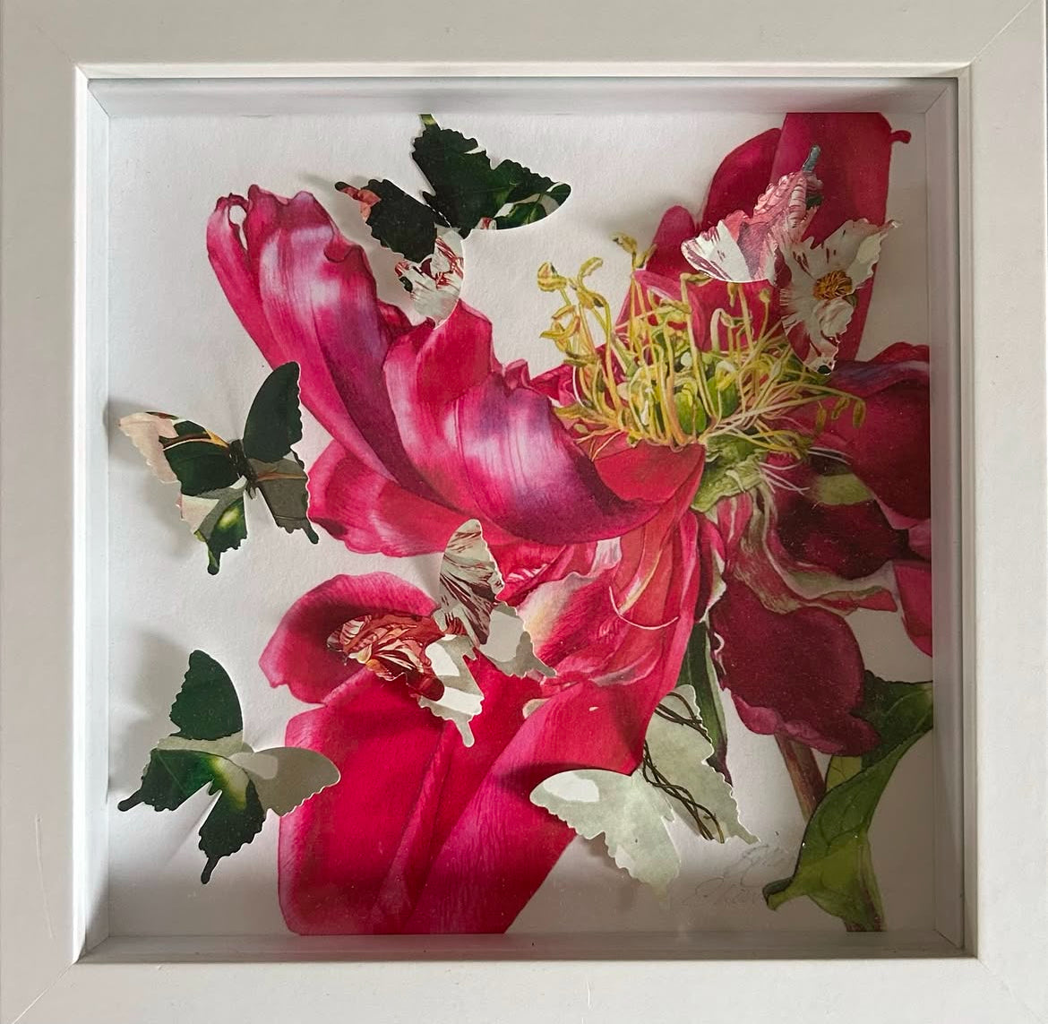 Box framed giclee signed print - Peony