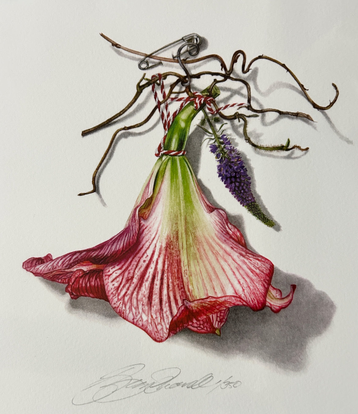 Print - The Dressmaker&#39;s Treasures- &#39;The Amaryllis Brooch&#39;