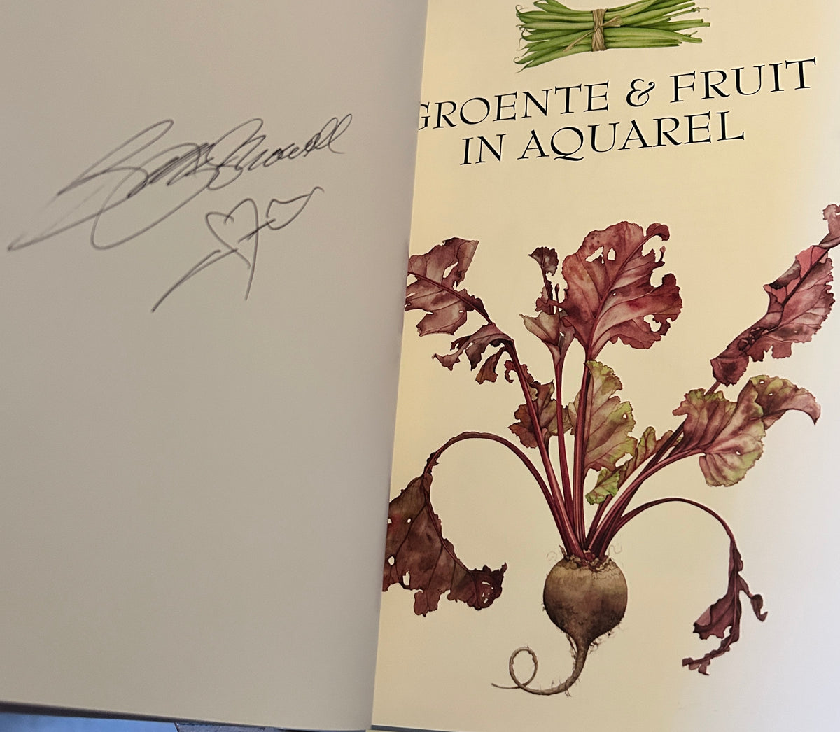 Chinese Language signed copy of the book &#39;Botanical Painting&#39; by Billy Showell