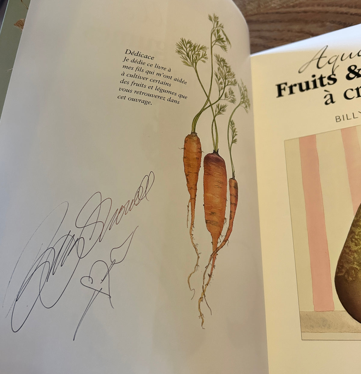 Dutch signed copy of the book ‘Fruit &amp; Vegetable Portraits in Watercolour’ by Billy Showell