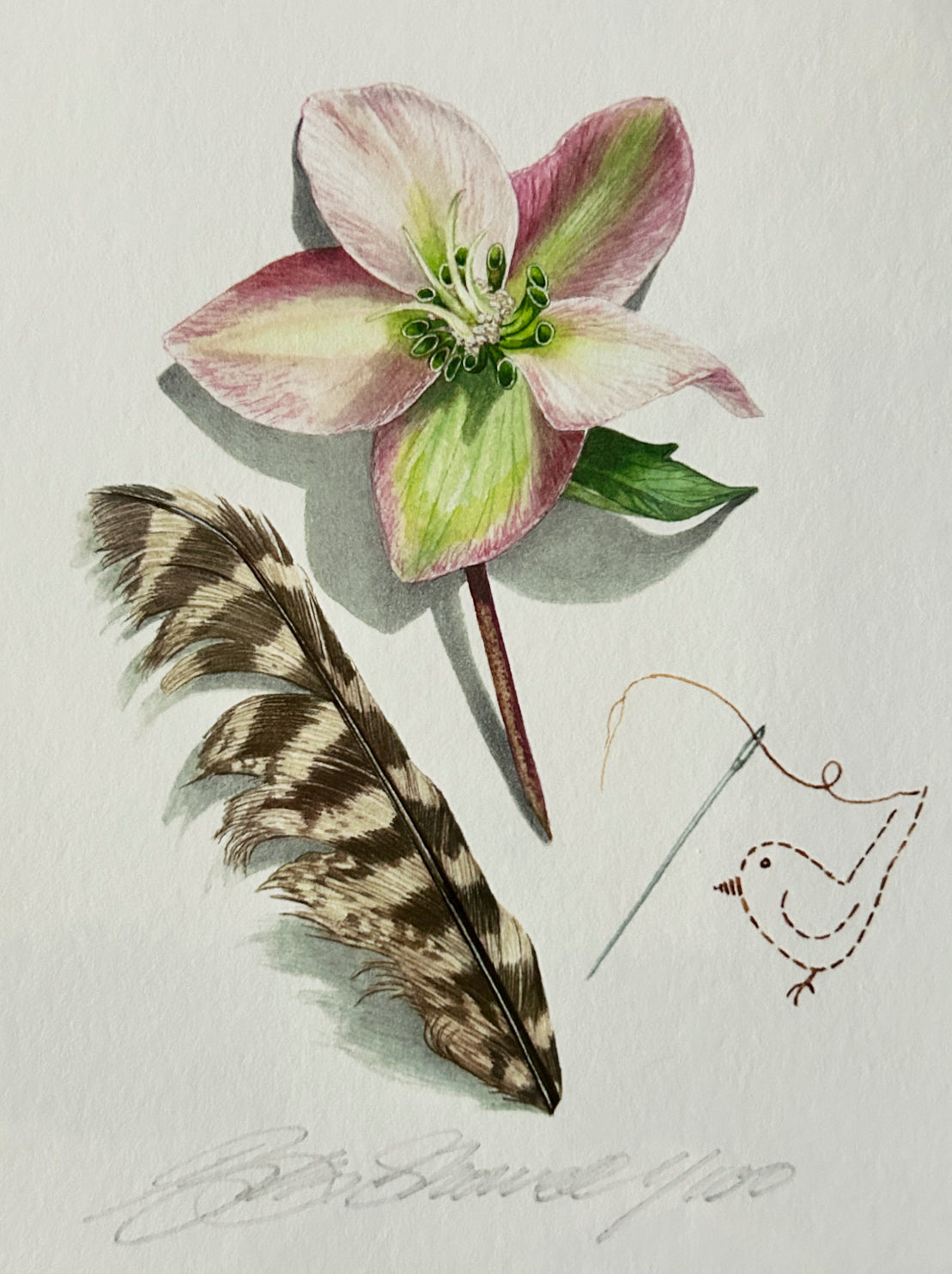 Small Print- &#39;Hellebore, Feather and Stitched Bird&#39;