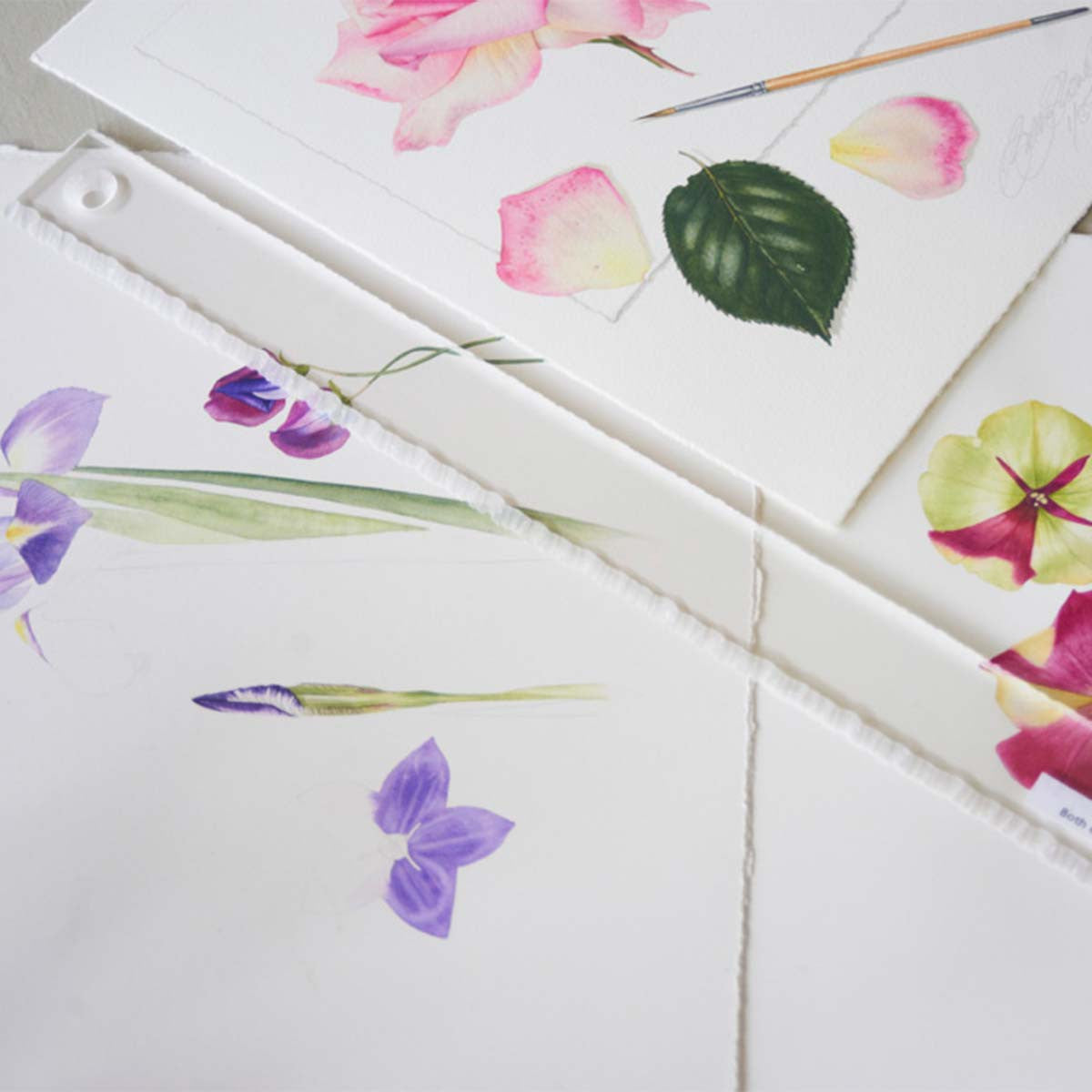 Deckle Ruler - The Billy Showell Store