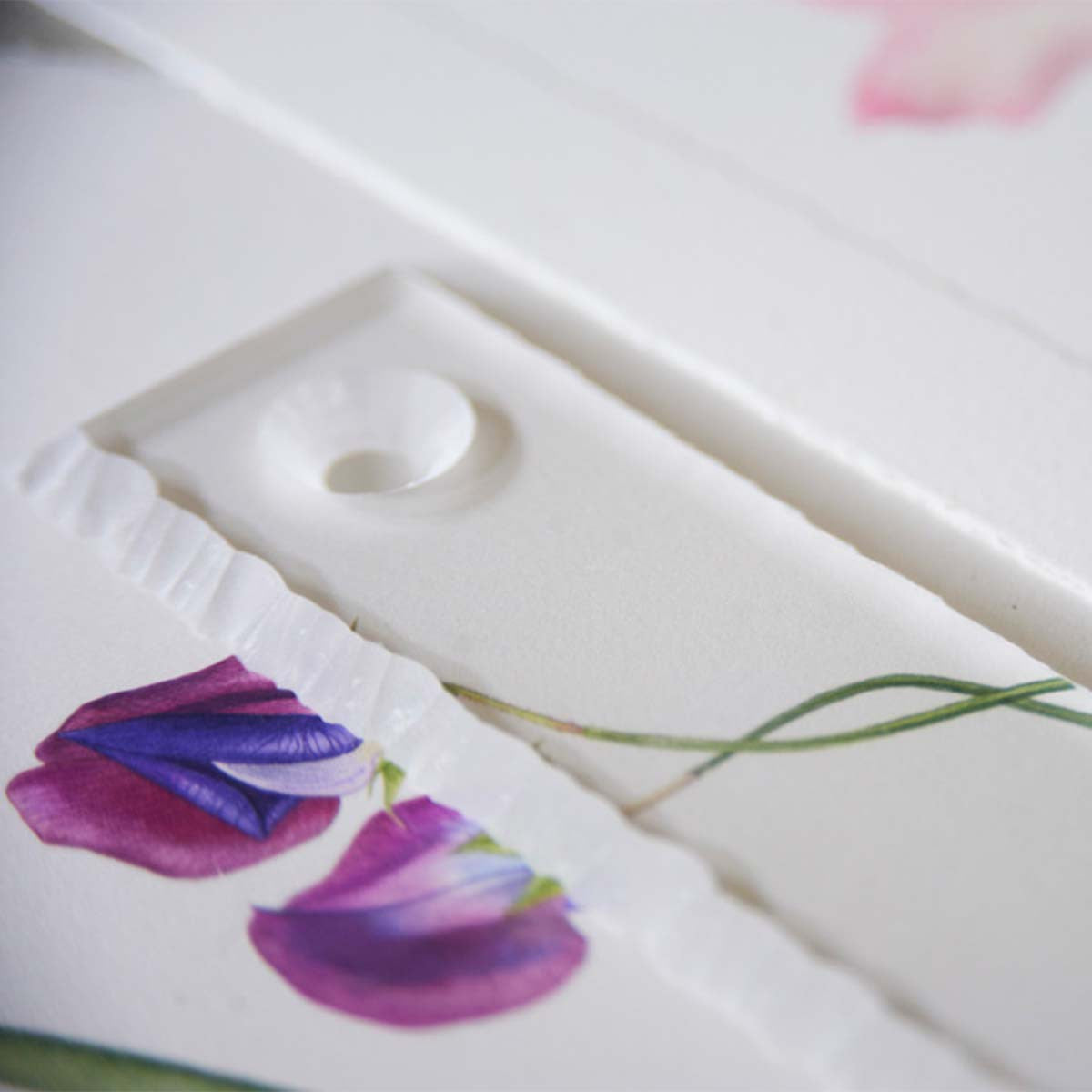 Deckle Ruler - The Billy Showell Store