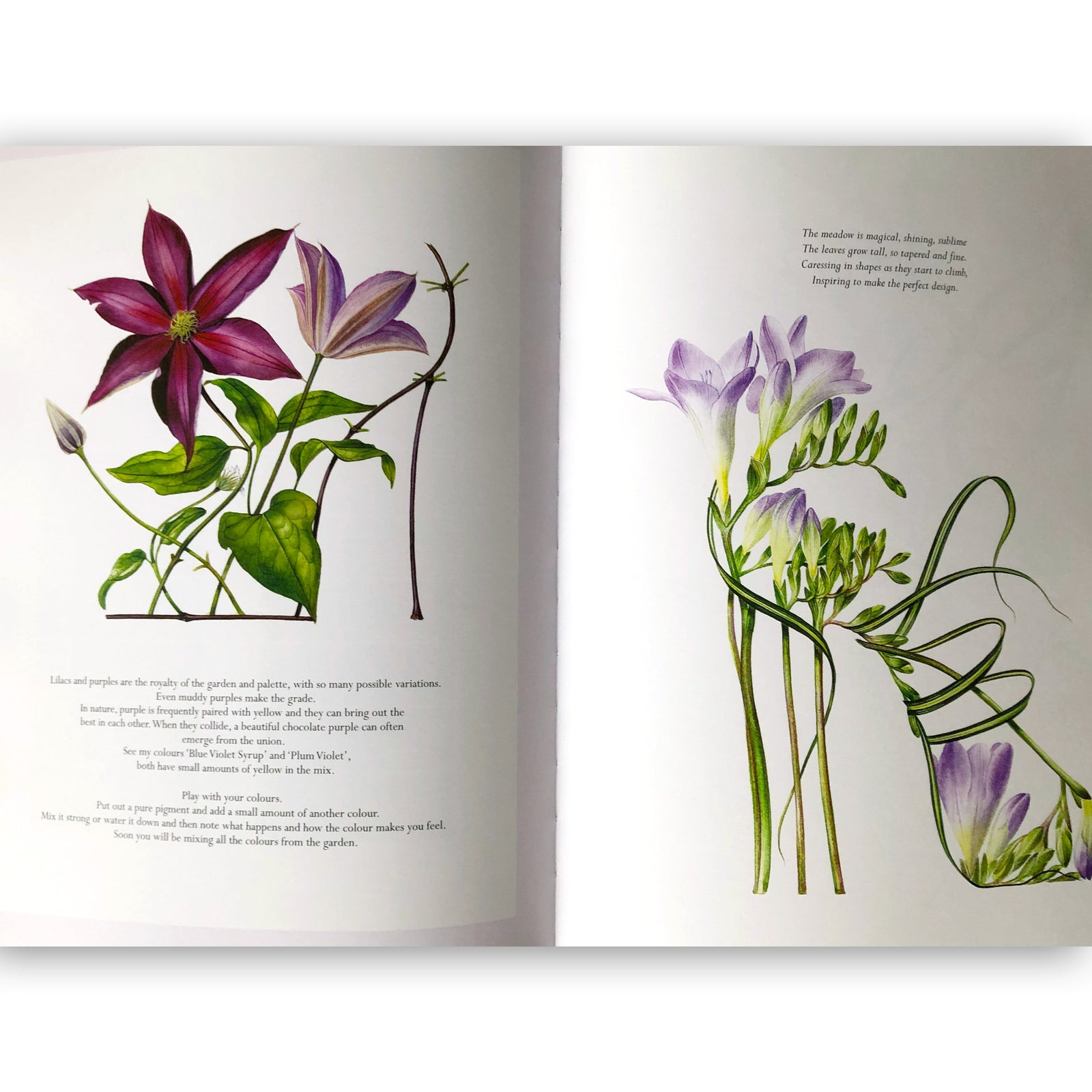 The Botanical Shoes Book